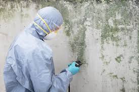 Best Forensic Mold Investigation  in Slocom, AL